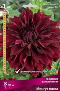 Георгина Мингус Алекс 1шт.