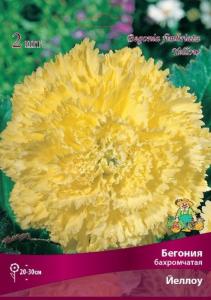 Бегония бахромчатая Йеллоу 2шт.4-5