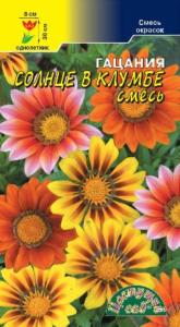 Гацания Солнце в клумбе, смесь Цвет.Сад