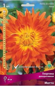 Георгина Мотто 1шт.