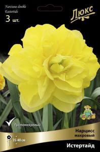Нарцисс Махровый Истертайд (3шт, цветок ярко-желтый, 12-14, h40см) Нарцисс Махровый Истертайд (3шт, цветок ярко-желтый, 12-14, h40см)