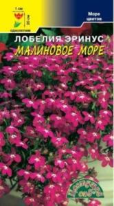 Лобелия Малиновое море Цвет.сад