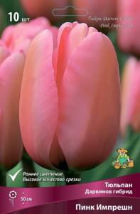 Тюльпан Пинк Импрешн Дарвинов гибрид 10шт 11-12 (Поиск) Тюльпан Пинк Импрешн Дарвинов гибрид 10шт 11-12 (Поиск)