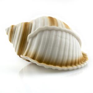 Декорация пластиковая Prime Ракушка 