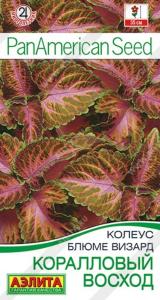 Колеус блюме Коралловый восход ---  Одн Аэлита