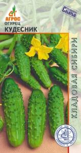 Огурец Кудесник 10шт (Агрос) Огурец Кудесник 10шт (Агрос)