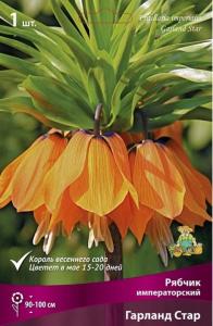 Рябчик (Фритиллярия) Императорский Гарланд Стар 1шт (темно-оранжевые, 18-20, h100см) Рябчик (Фритиллярия) Императорский Гарланд Стар 1шт (темно-оранжевые, 18-20, h100см)