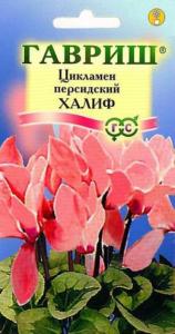 Цикламен Халиф персидский 3 шт. Гавриш