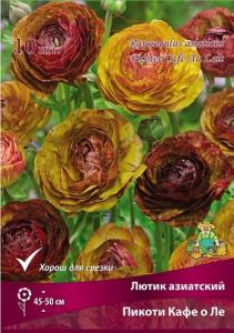 Лютик Пикоти Кафе о Ле 10шт (45-50см, цветки полумахровые,тёмно-красного с кофейными нотками, 7-8) Лютик Пикоти Кафе о Ле 10шт (45-50см, цветки полумахровые,тёмно-красного с кофейными нотками, 7-8)