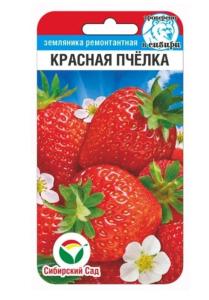 Земляника (клубника) Красная пчелка крупноплодная 10шт (Сиб сад) Земляника (клубника) Красная пчелка крупноплодная 10шт (Сиб сад)