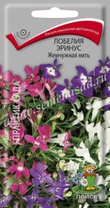 Лобелия Эринус Жемчужная нить 0,1г.КУСТОВАЯ  Поиск
