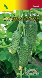 Огурец Балконная Гирлянда F1 Парт Ранн (Цвет сад) Огурец Балконная Гирлянда F1 Парт Ранн (Цвет сад)