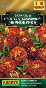 Бархатцы откл. Чернобурка 0,3г Одн 20см (Аэлита) 