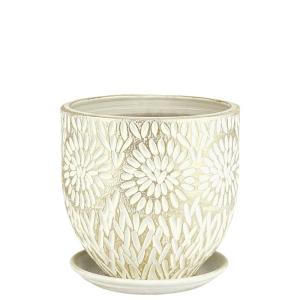 Бутон Астра горшок с поддоном 4л d21 h20см бел-жемчуг