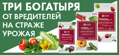 Три богатыря  от вредителей на страже  урожая