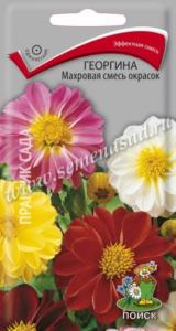 Георгина Махровая смесь окрасок (ЦВ) ( Георгина Махровая смесь окрасок (ЦВ) (