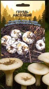 Мицелий Груздь настоящий 30мл (ССПК) Б/Ф