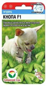 Огурец Кнопа F1 7шт Ранн (Сиб сад)