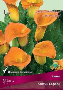 Калла Кэптин Сафари (оранжевый, 1шт, 14-16)