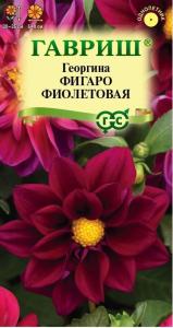 Георгина Фигаро фиолетовая 7шт Одн негранул. 30см (Гавриш)