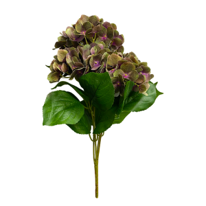 1 1