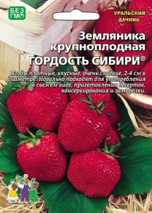 Земляника Гордость сибири крупноплодная (УД)