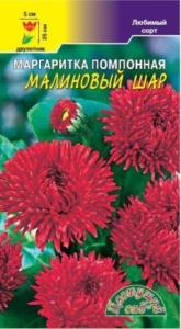 Маргаритка помпонная Малиновый шар Цвет.сад.
