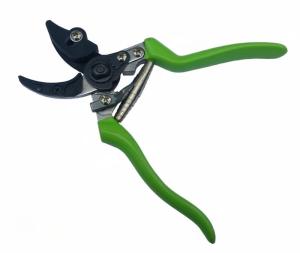 DeWatermark.ai_1757409322764