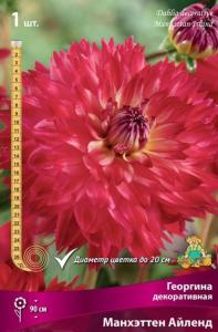Георгина Манхеттен Айленд 1шт.