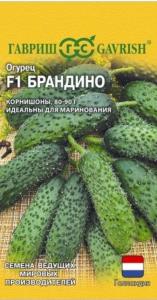 Огурец Брандино F1 5шт Парт Ранн (Гавриш) Голландия 