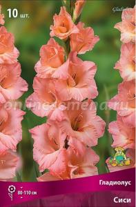 Гладиолус крупноцветковый Сиси 10шт (лососево-розовый, 10-12, h110см)