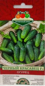 Огурец Черный красавец F1 Парт Ранн (Цвет сад) Огурец Черный красавец F1 Парт Ранн (Цвет сад)