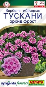 Вербена Тускани орхид фрост 5шт Одн 25см (Аэлита)