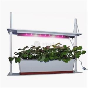 Фитолампа (светильник) на стойках, 3 лампы, L=57см 1/1 БШ