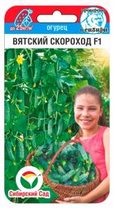 Огурец Вятский скороход 6шт Парт (Сиб Сад)