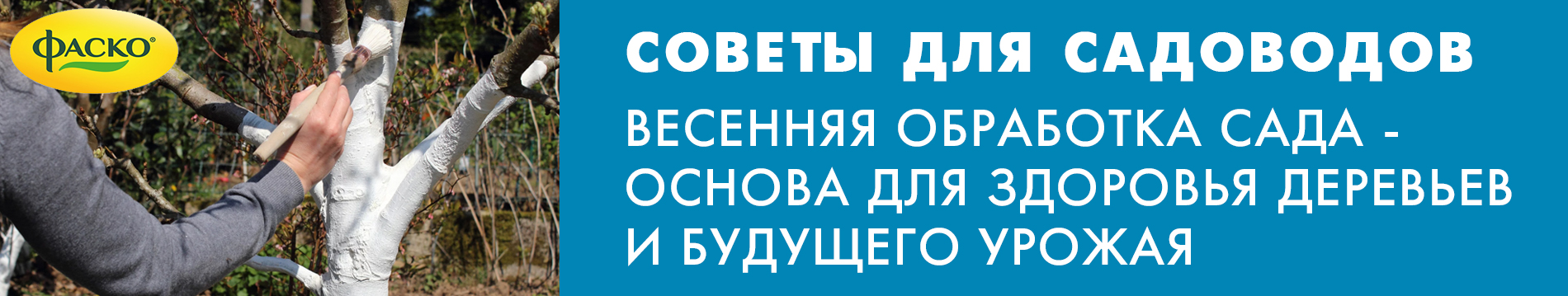 Весенняя обработка сада