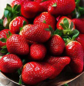 Земляника крупноплодная Роксана Р9 Lav