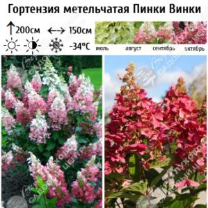 Скриншот 16-04-2026 100510