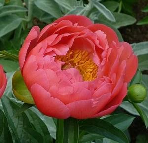 Скриншот 14-04-2026 150207