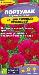 Скриншот 20-08-2026 133138