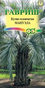 Бутия головчатая Мануэла 3 шт Мн (Гавриш)