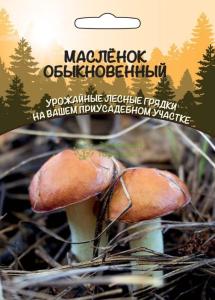 Мицелий Грибы Масленок Обыкновенный (ССПК) Б-Ф