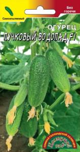 Огурец Пучковый водопад F1 0.3г Парт Ранн (Цвет сад)