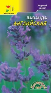 Лаванда Английская Цвет.Сад