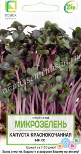 Микрозелень Капуста краснокочанная Микс 5г (Поиск)