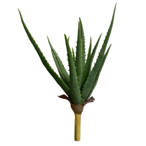 1 1