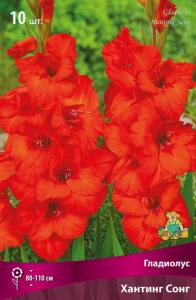 Гладиолус гофрированный Хантинг Сонг 10шт (красно-оранжевый, 10/12, h110см)