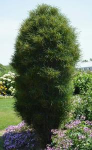 Скриншот 21-04-2026 145407