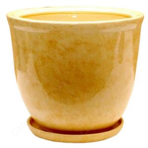 Кедр 2 горшок с поддоном 8л d25см беж.