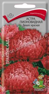Астра пионовидная Дюшес красная (ЦВ) ( Астра пионовидная Дюшес красная (ЦВ) (